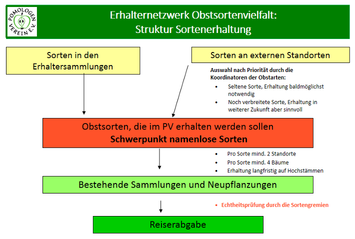 Schaubild Organisationsstruktur