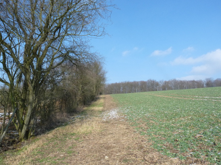 Foto: Dr. Annette Braun-Lüllemann