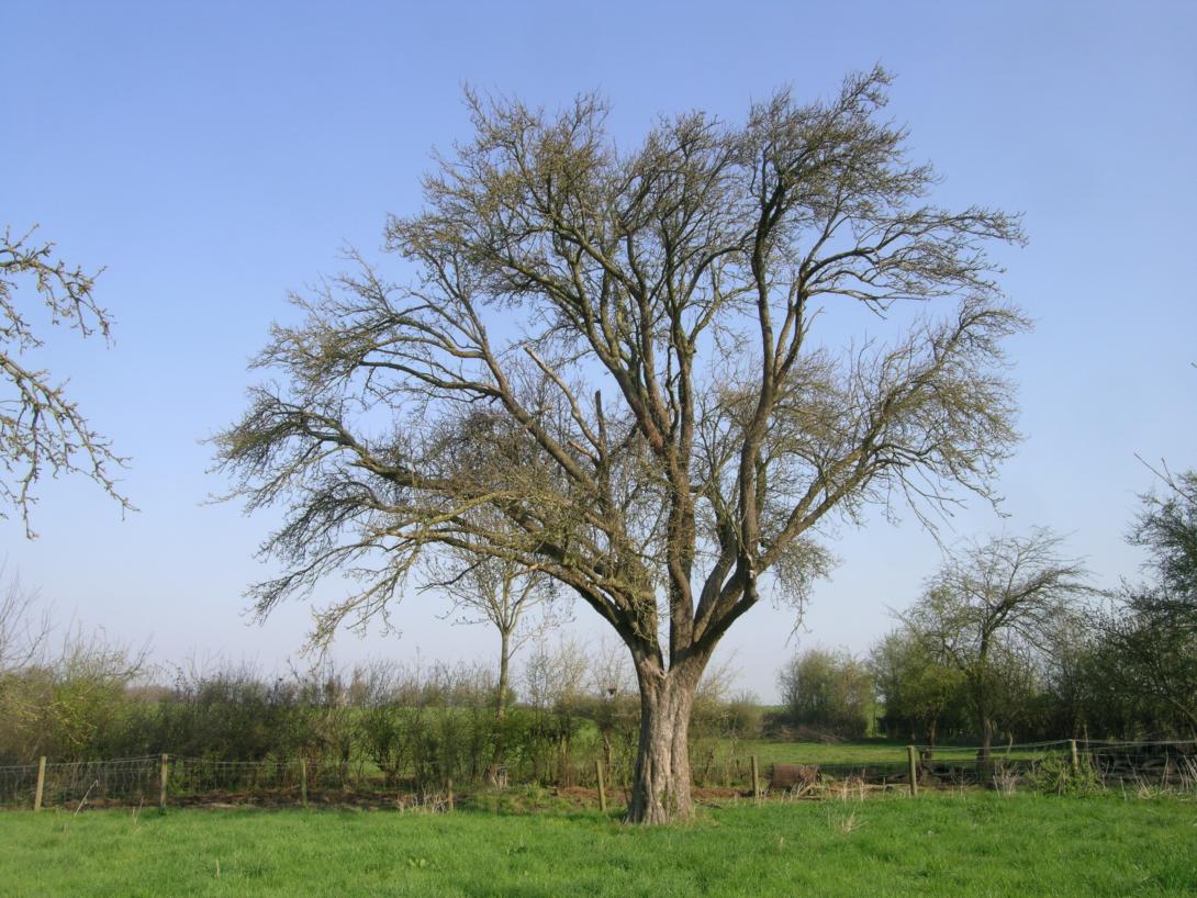Bildautor: Christoph Vanberg