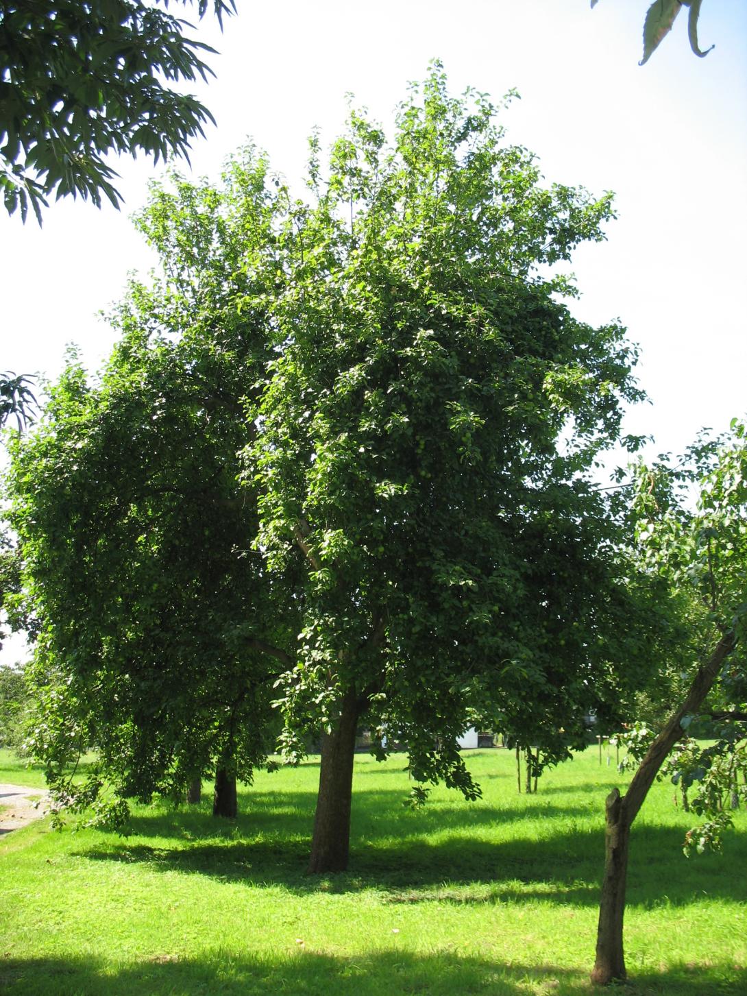 Bildautor: Ansgar Reichmann