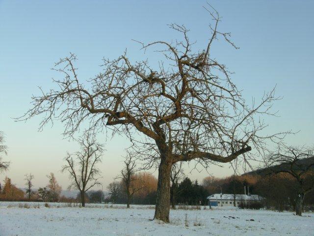 Bildautor: Christoph Vanberg