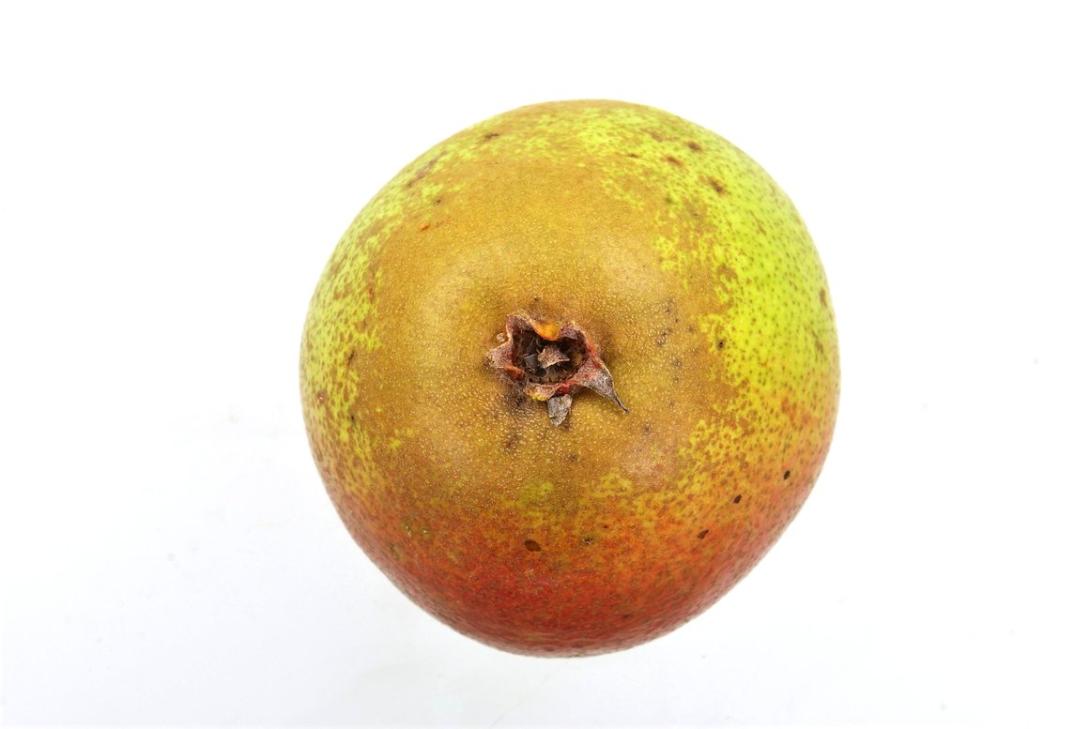 Amanlis Butterbirne