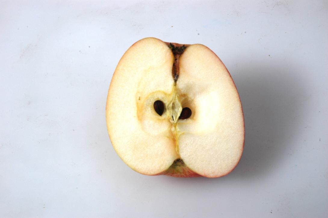 Bäumchensapfel