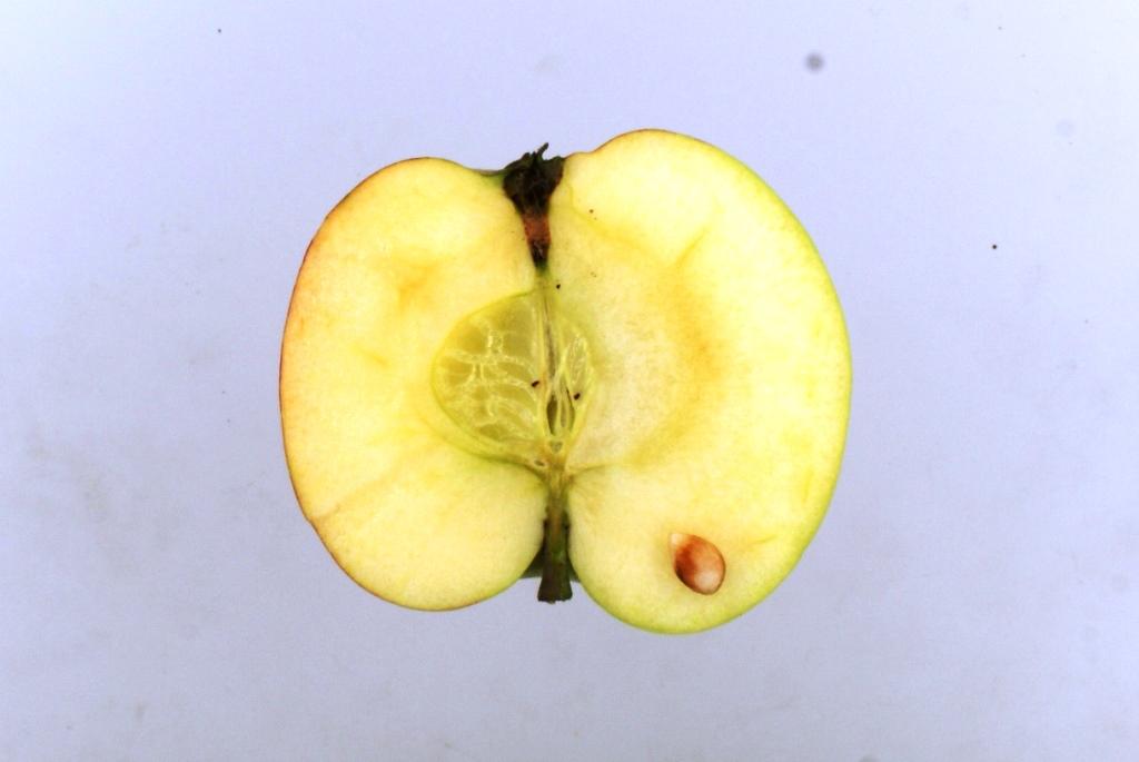 Charlamowsky
