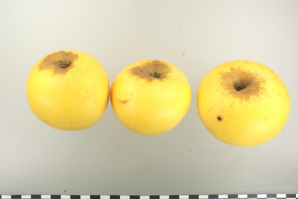 Gelber Edelapfel