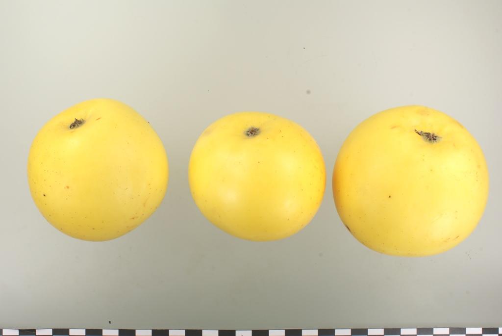Gelber Edelapfel