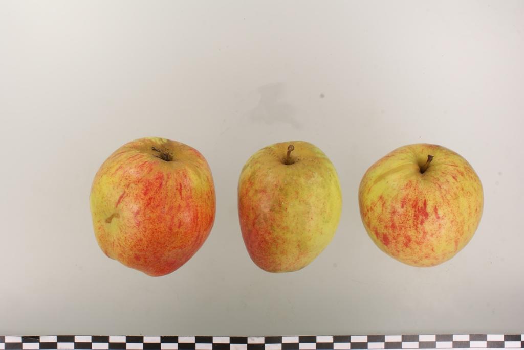 Prinzenapfel
