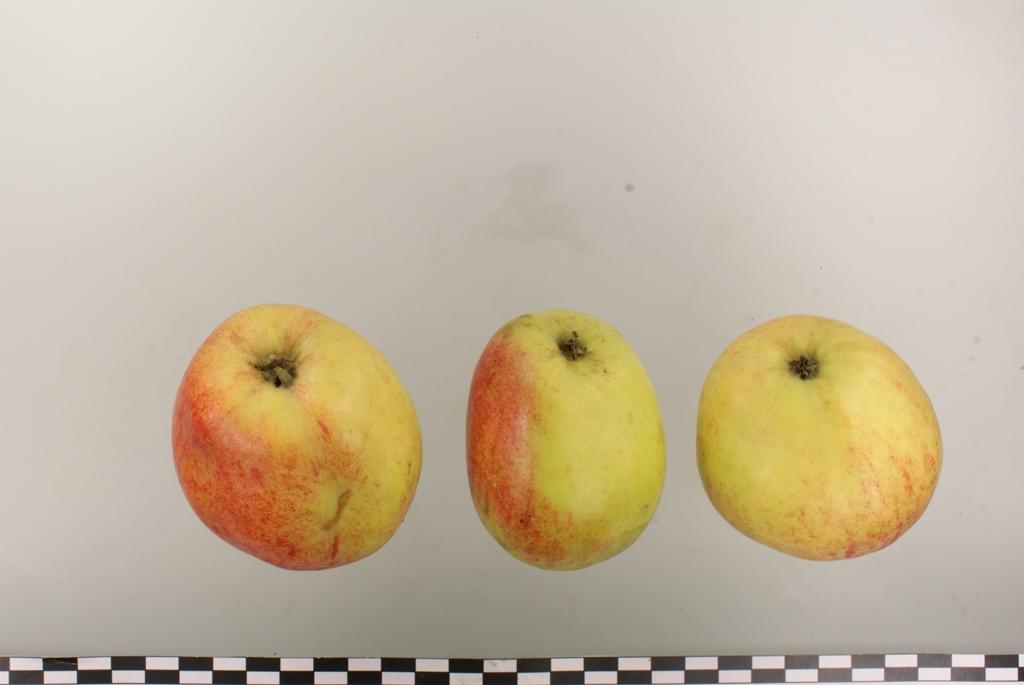 Prinzenapfel