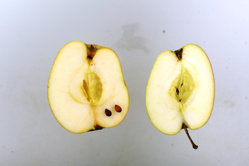 Prinzenapfel