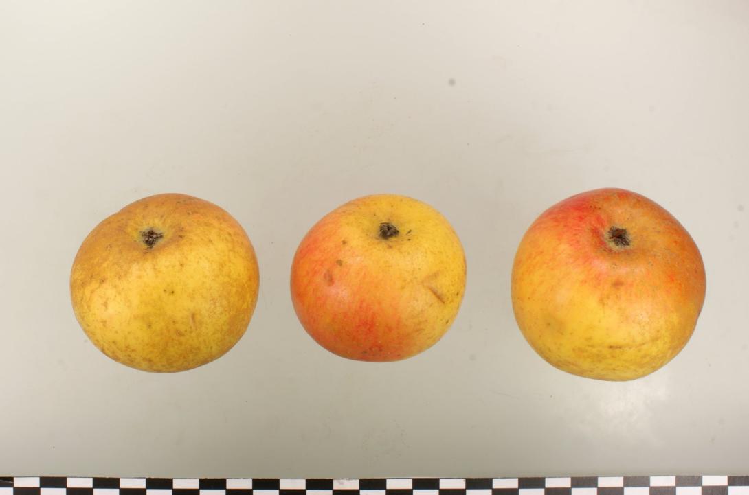 Strauwalds Parmäne