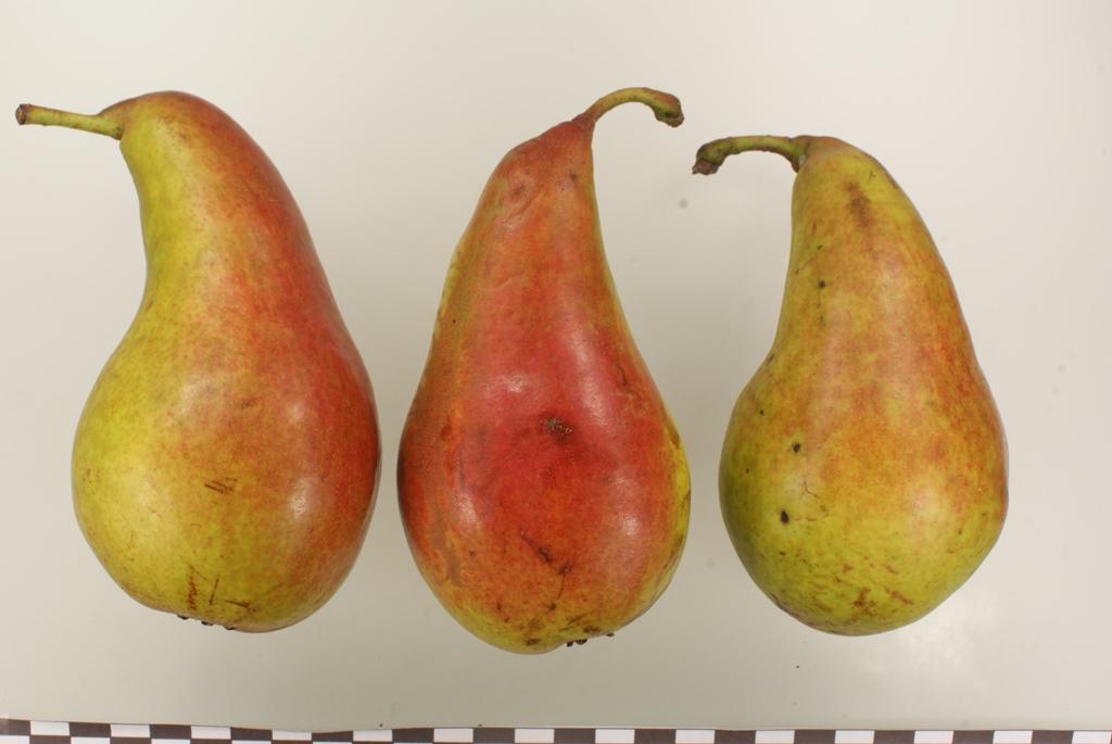 Beurre van den Ham