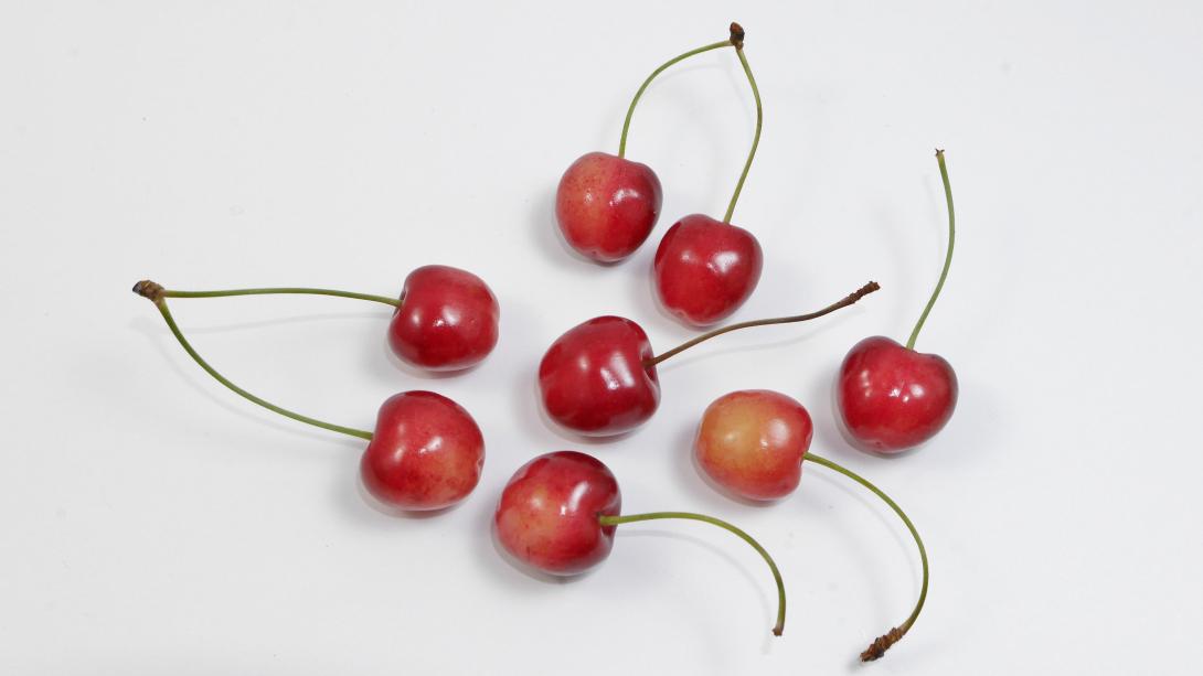 Großrote