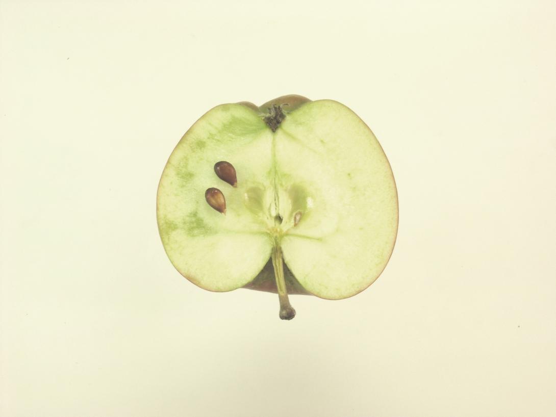Hauxapfel