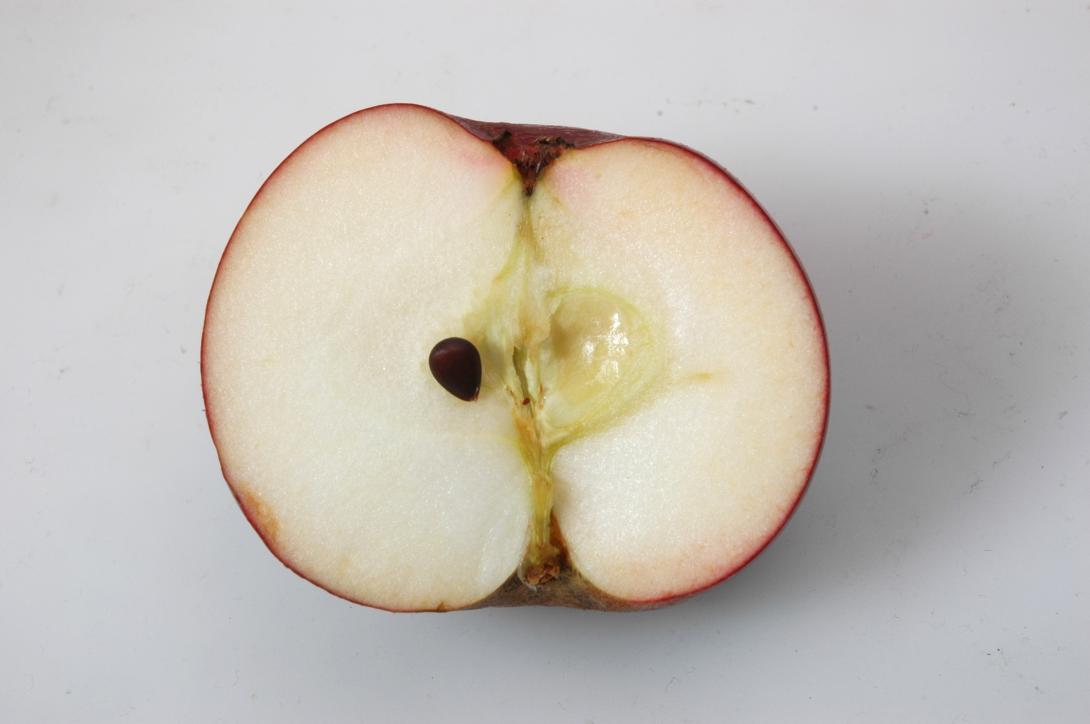 Moseleisenapfel