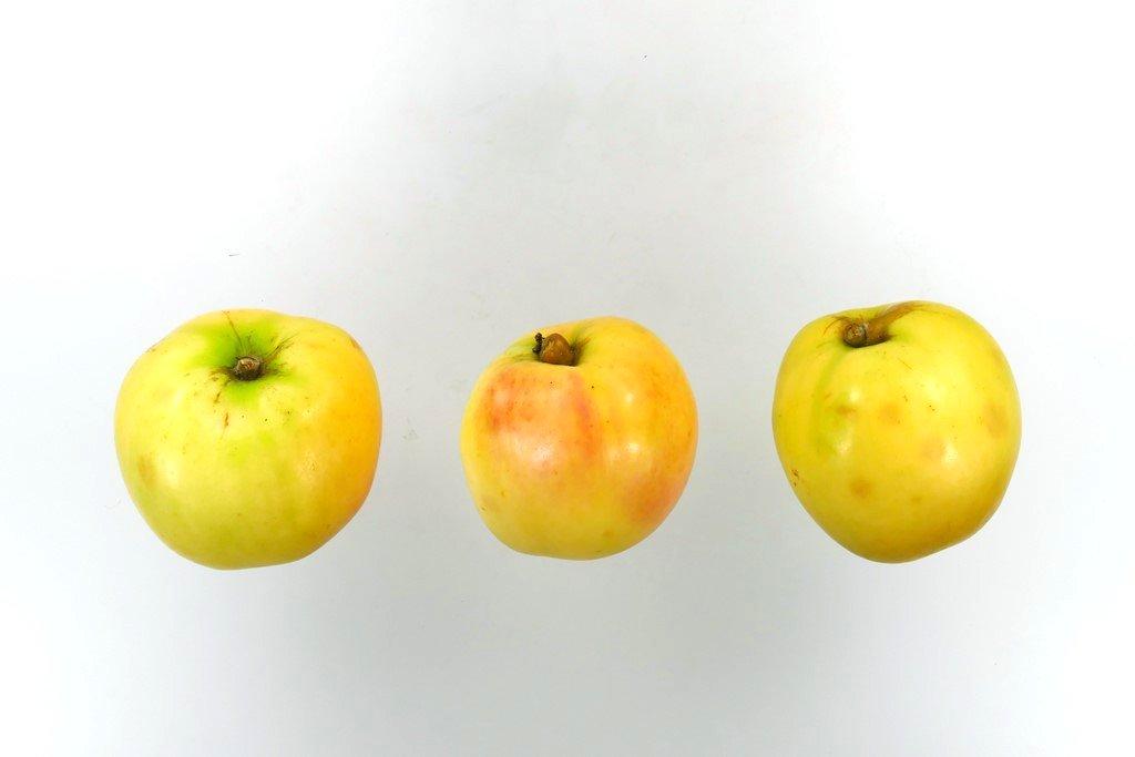 Deans Küchenapfel