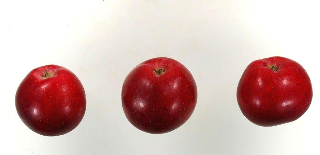 Adamsapfel