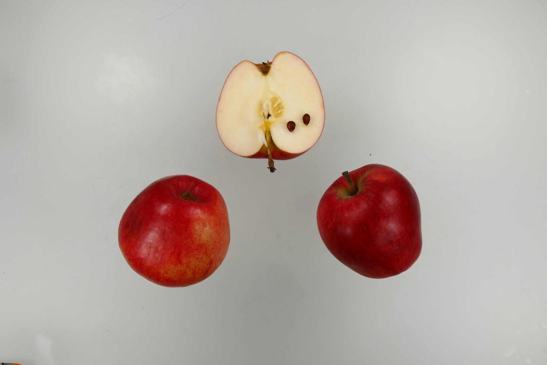 Körler Edelapfel