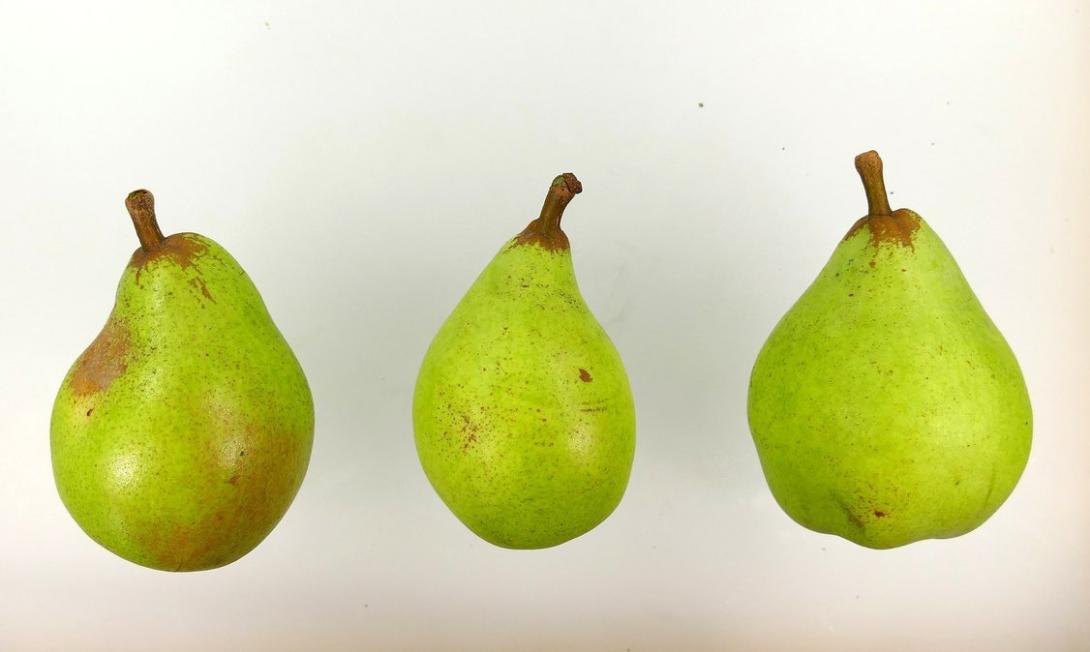 Präsident Mas