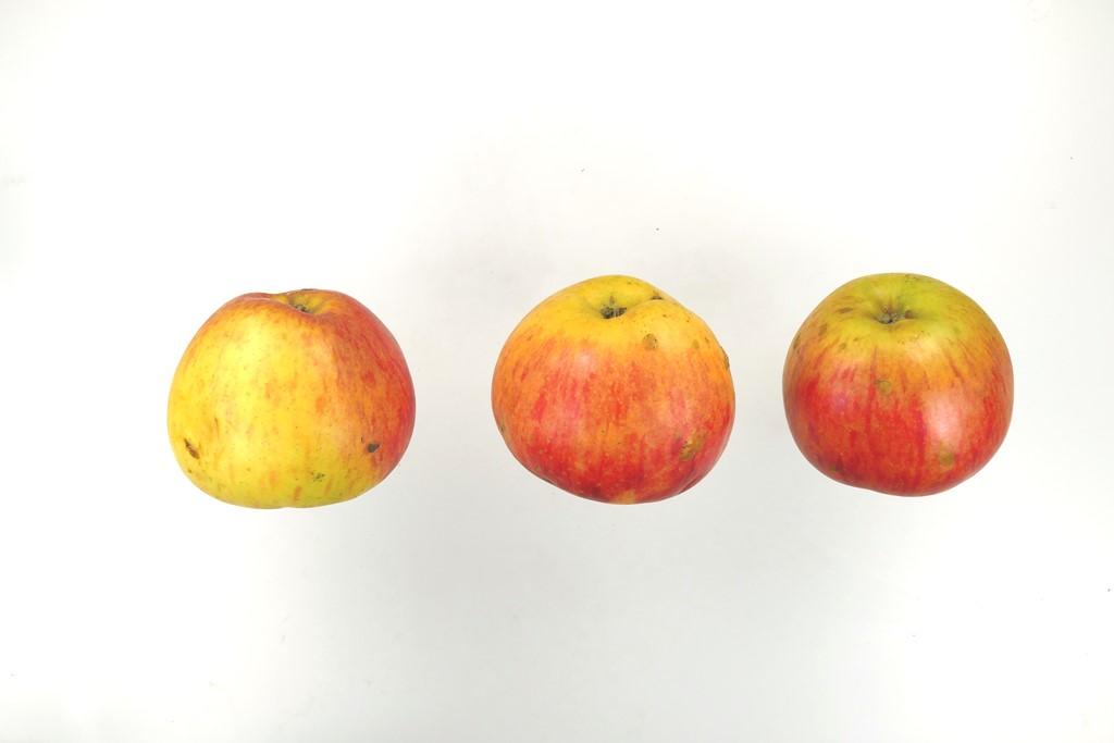 Hauxapfel