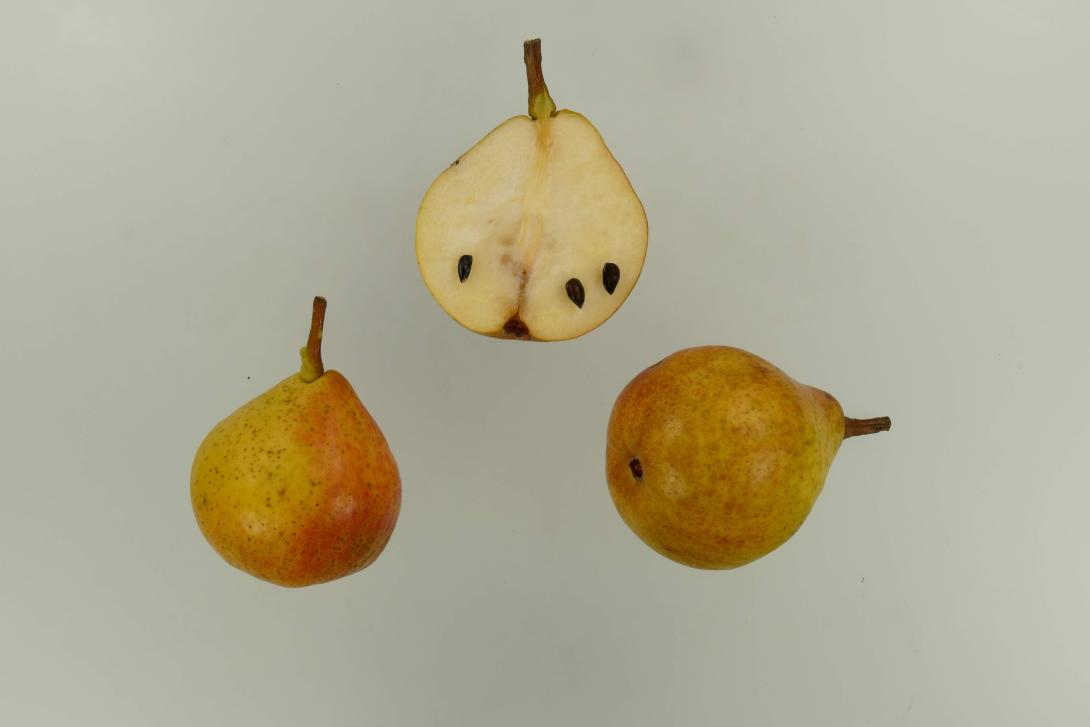 Petersbirne