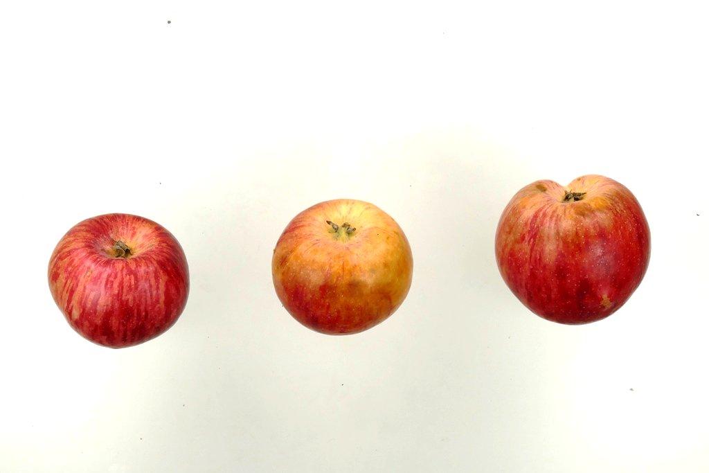 Charlamowsky