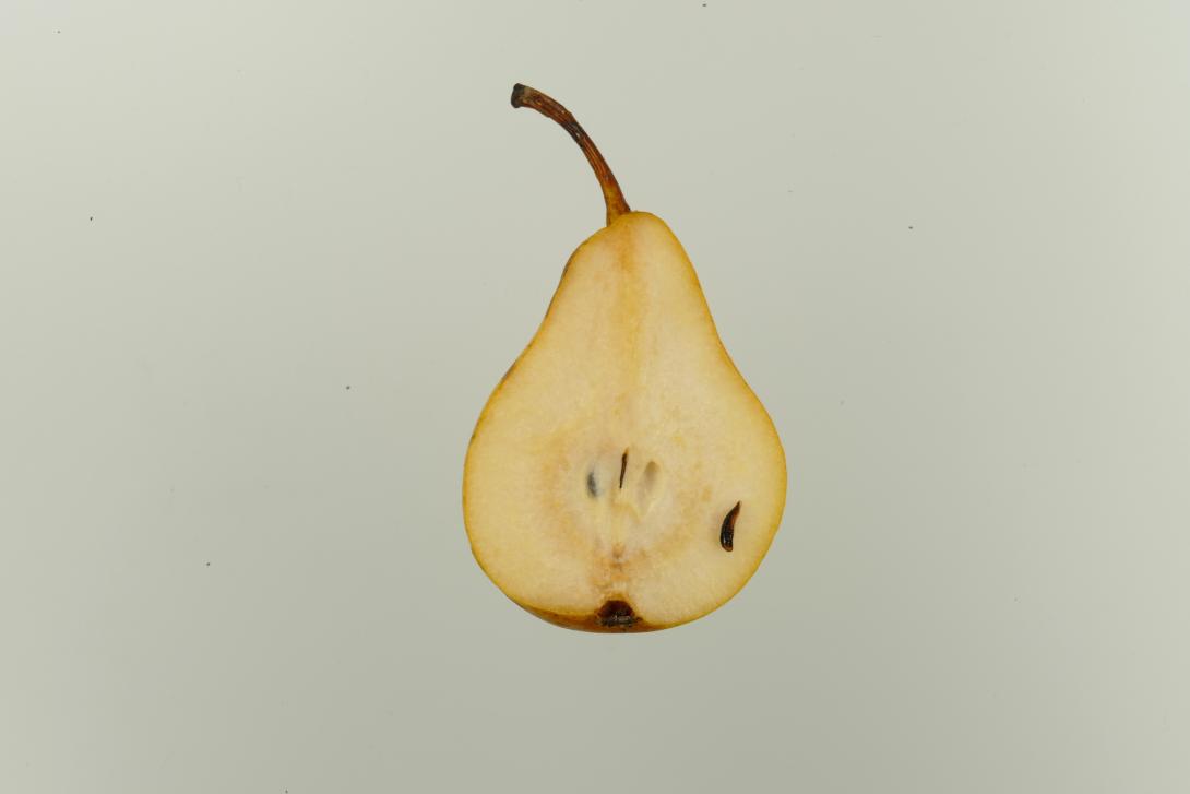 Aarer Pfundbirne