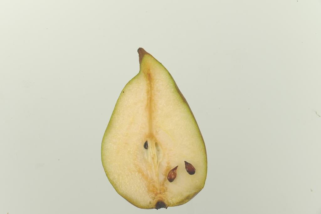 Feigenbirne aus Alencon