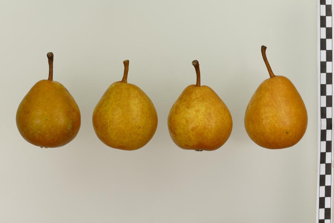 Beurre Caboceau