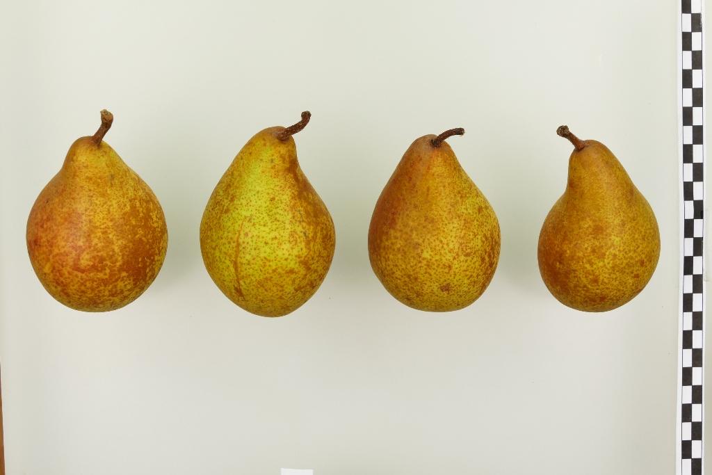 Pias Butterbirne