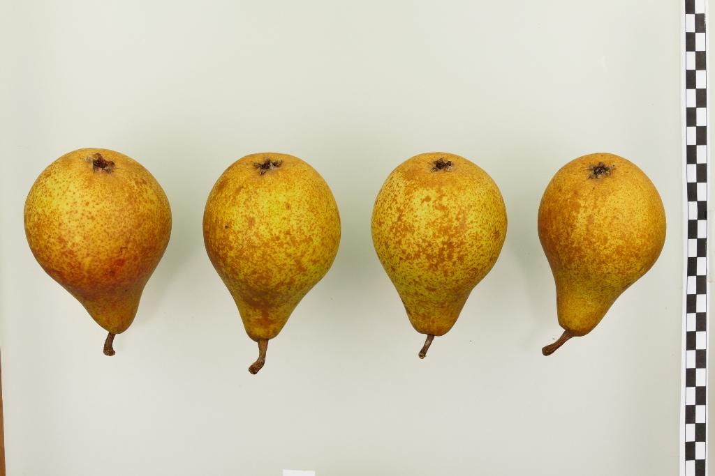 Pias Butterbirne