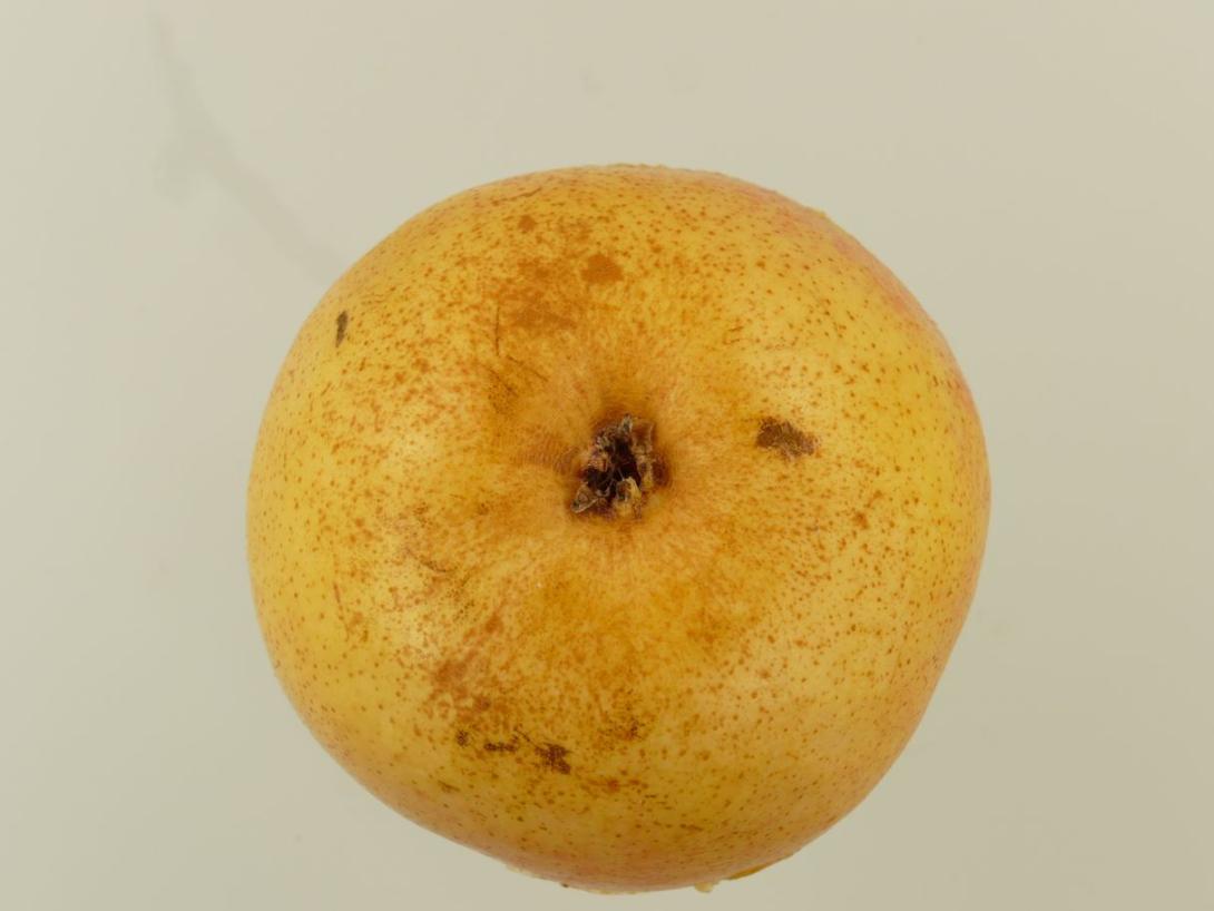 Margarete Marillat