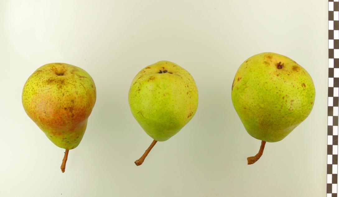 Schmelzende aus Thirriot