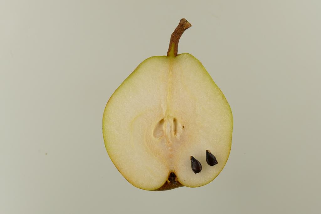Vereinsdechantsbirne