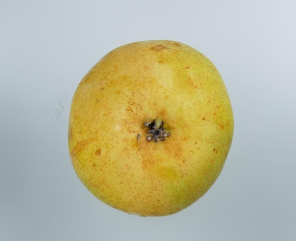 Pitmaston