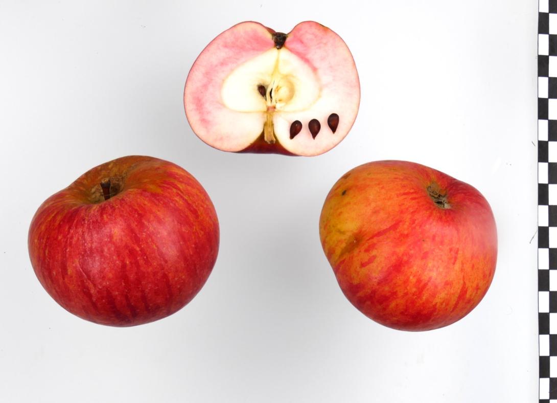 Hauxapfel