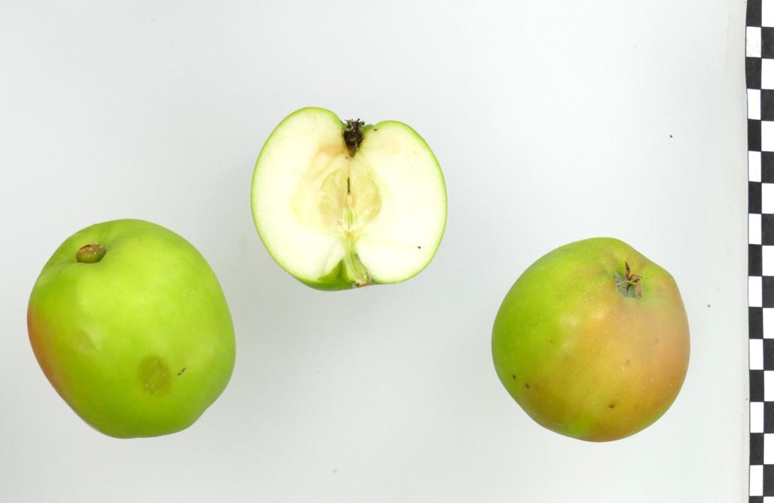 Deans Küchenapfel