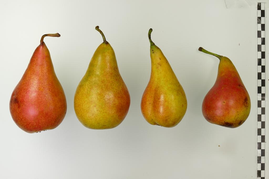 Beurre van den Ham