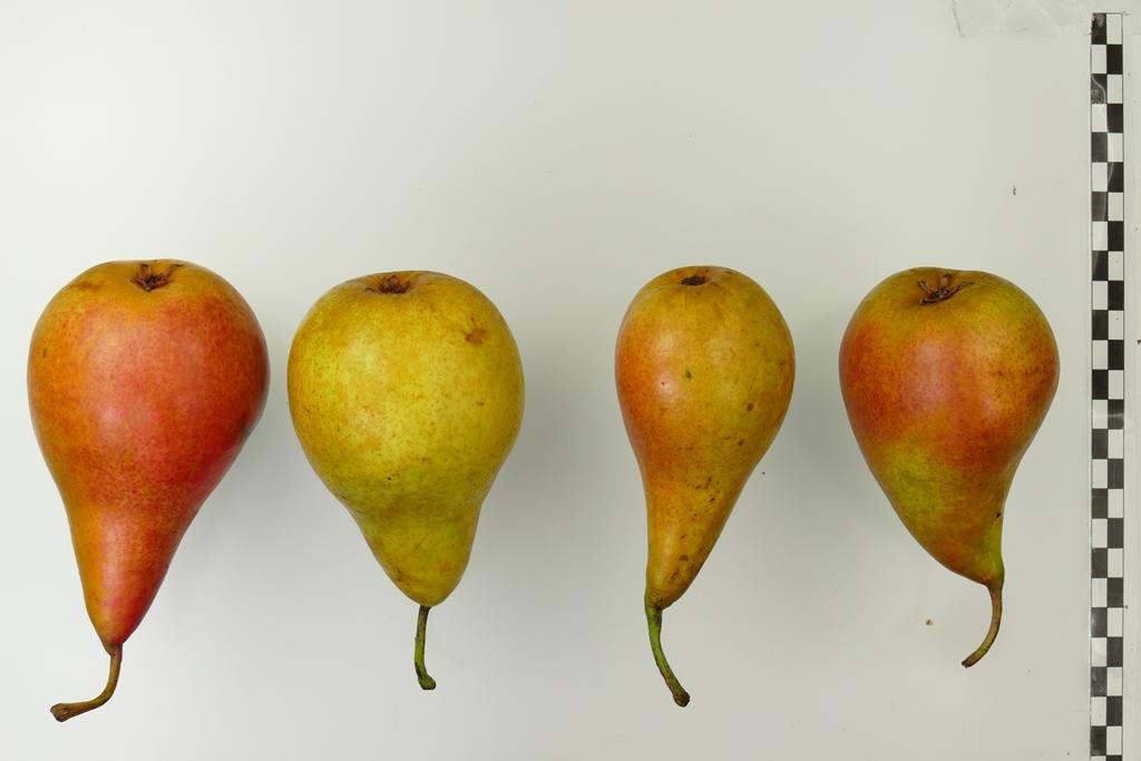 Beurre van den Ham