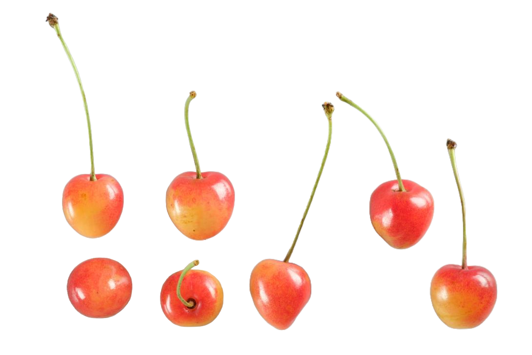 'Elton'