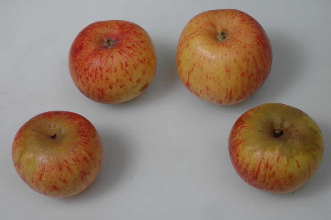 Porzenapfel