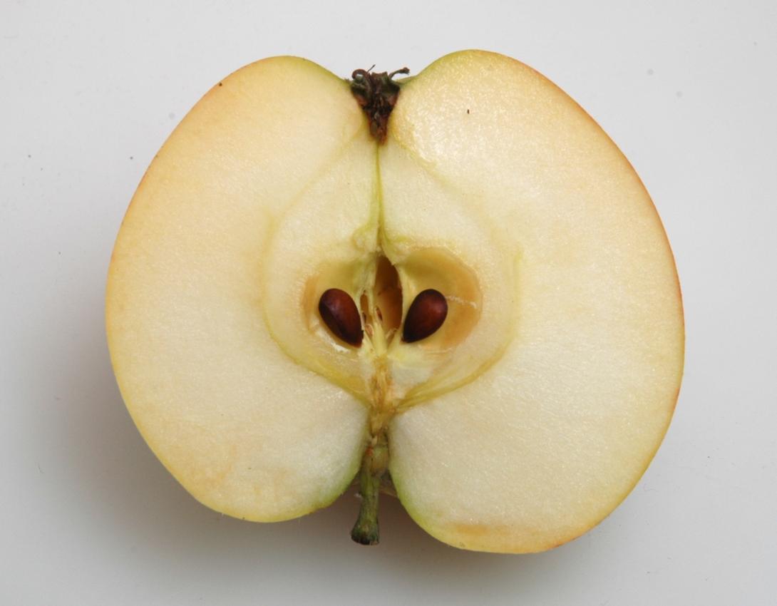 Schöner aus Elmpt