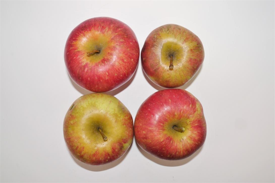 Schöner aus Pontoise
