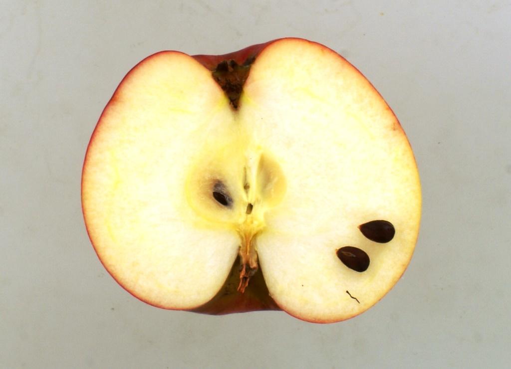Uphuser Tietjenapfel