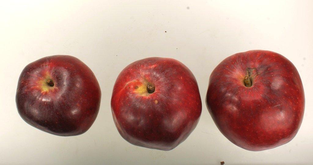 Roter Brasilienapfel