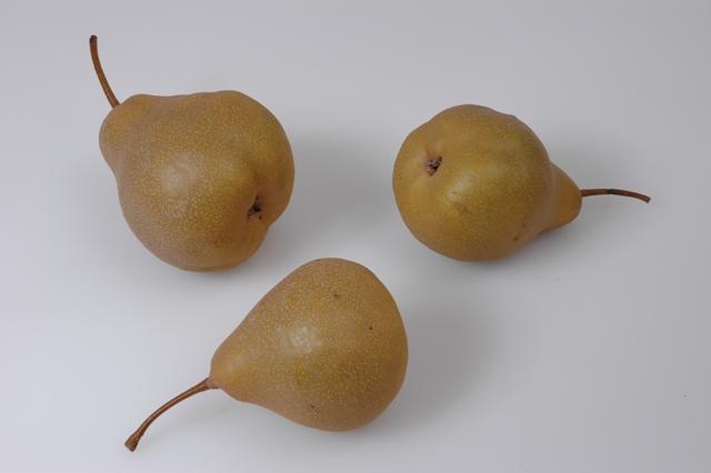 Dycker Schmalzbirne