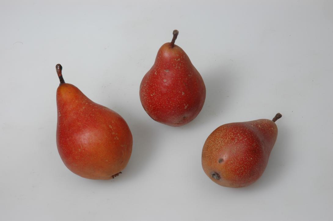 Juffernbirne