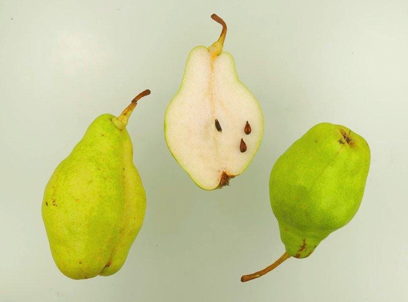 Schöne aus Abres