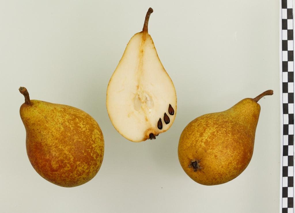 Pias Butterbirne