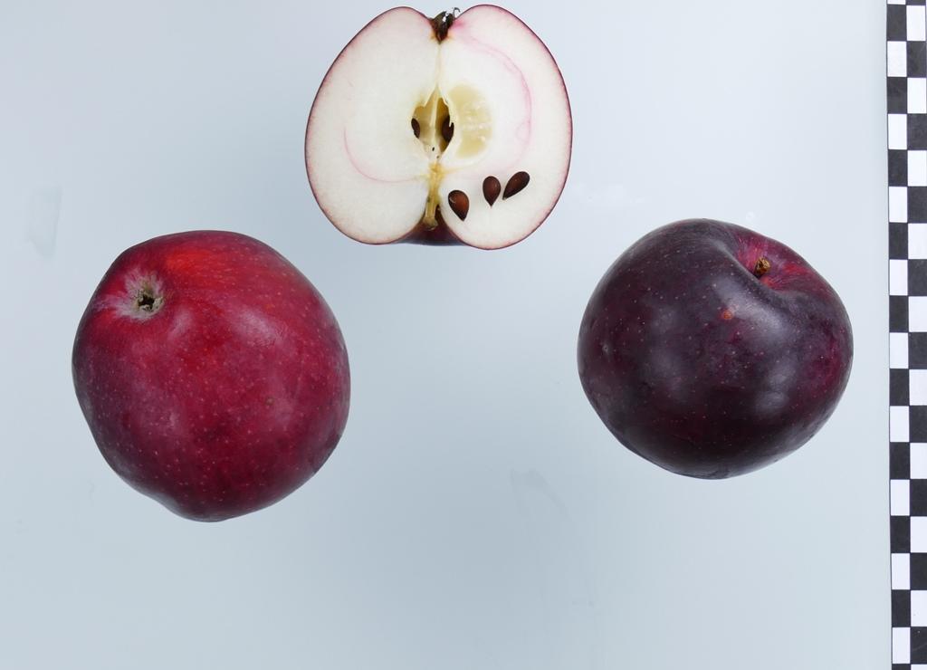 Roter Brasilienapfel