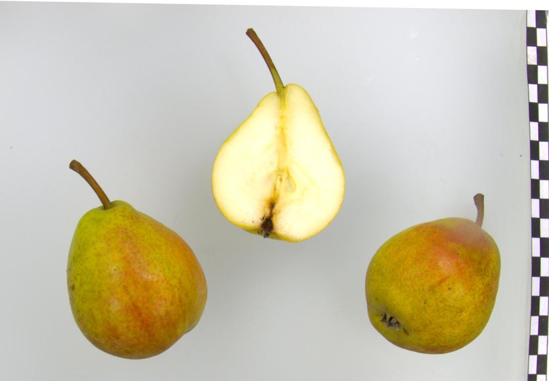 Frühe aus Trevoux